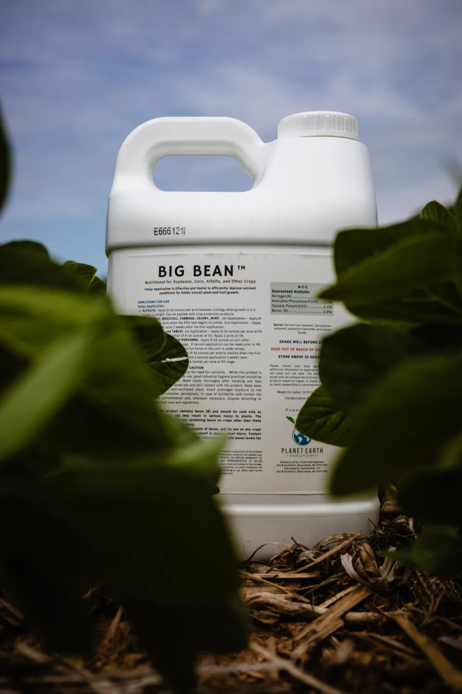 BIG BEAN product jug framed by soybean leaves against a blue sky